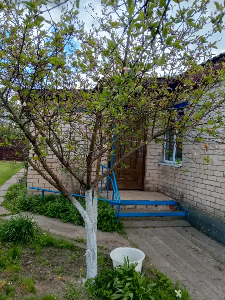 Продам дом, а/г Горки, ул. Центральная, д. 37 Б, фотография 12