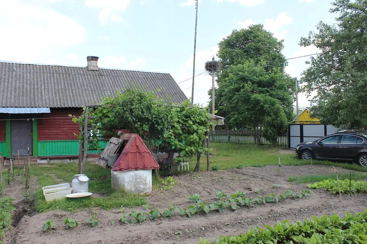 Продается дом в деревне с участком, Малоритский рвйон, д. Пажежин, фотография 6