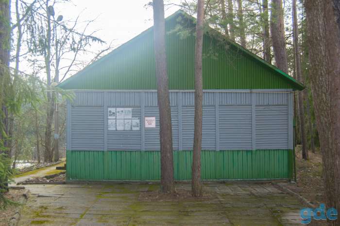 Продается бывший детский лагерь, д.Бурносы, Лидский район, фотография 6