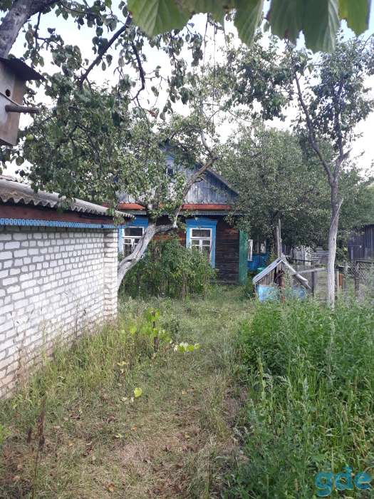Продается дом д.Каменка, фотография 3