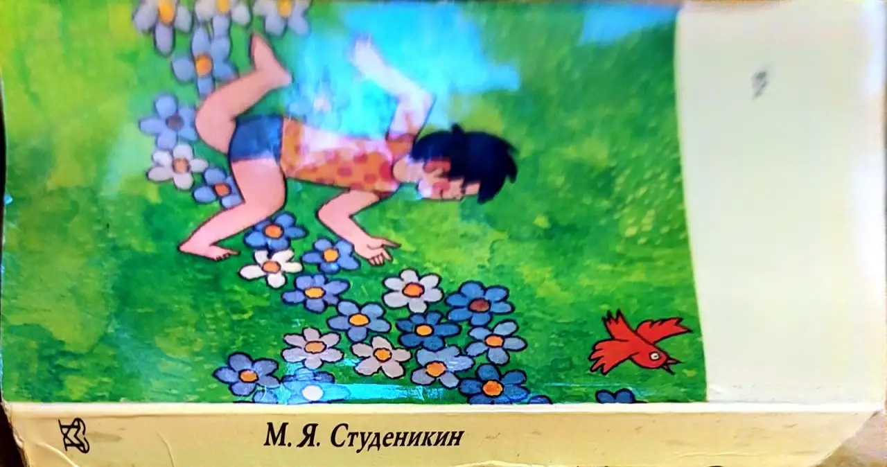 Митрофан Студеникин - Книга о здоровье детей, фотография 3