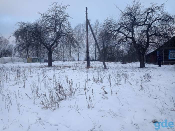 Продам участок с домом, ул. Центральная д.29, фотография 4