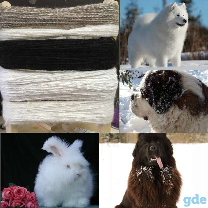 Прядение шерсти, фотография 6