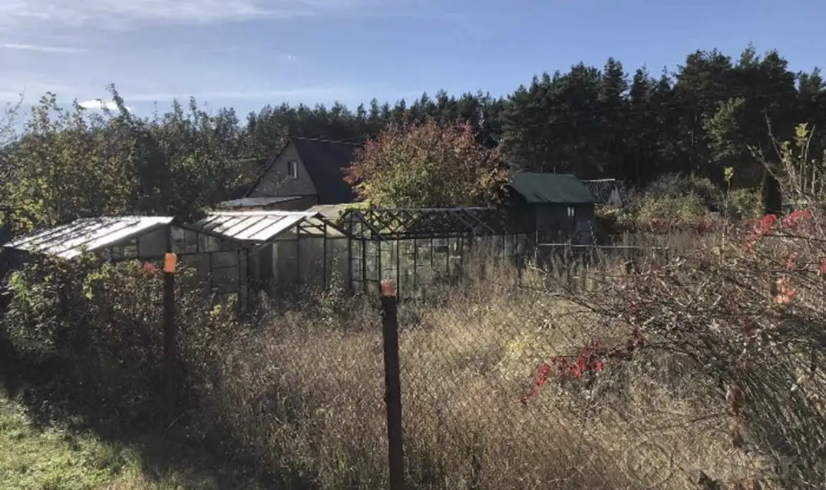 Продам дачный участок в 7 км от Ольшанки Гродно, фотография 8