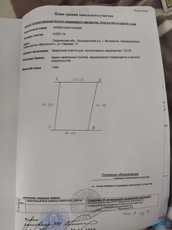 Дача, Гродненская обл. Козье горы
