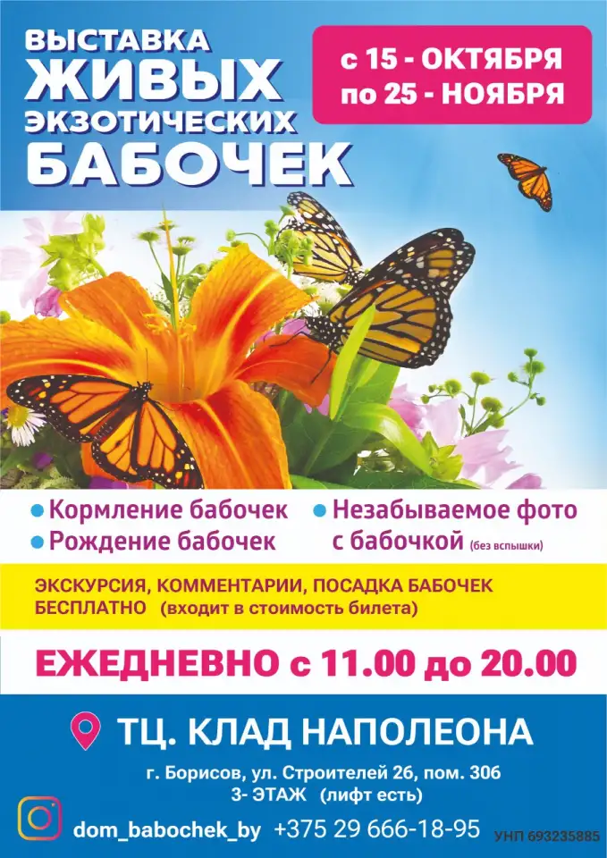 Выставка ЭКЗОТИЧЕСКИХ БАБОЧЕК, фотография 1