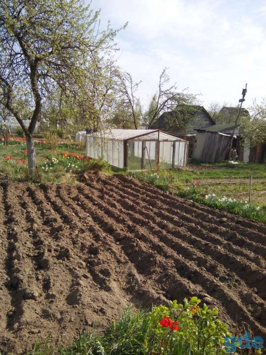 Продается дача 10+6 соток, Смолевичский район, с/т Амкодор 202, фотография 5