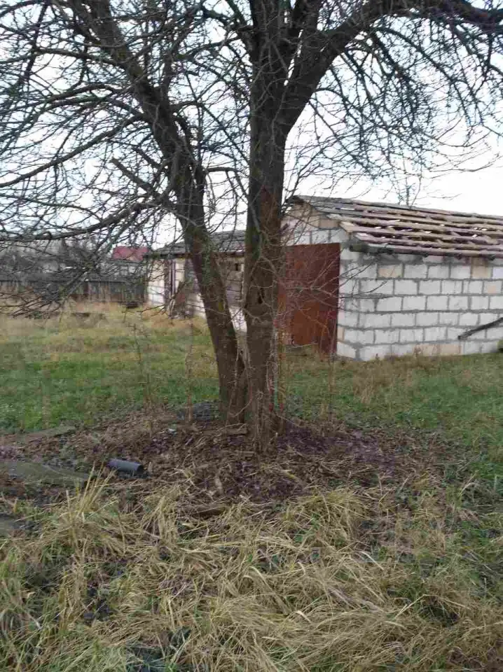 Продам участок в Микашевичах с недостроенным домом и гаражом, фотография 2