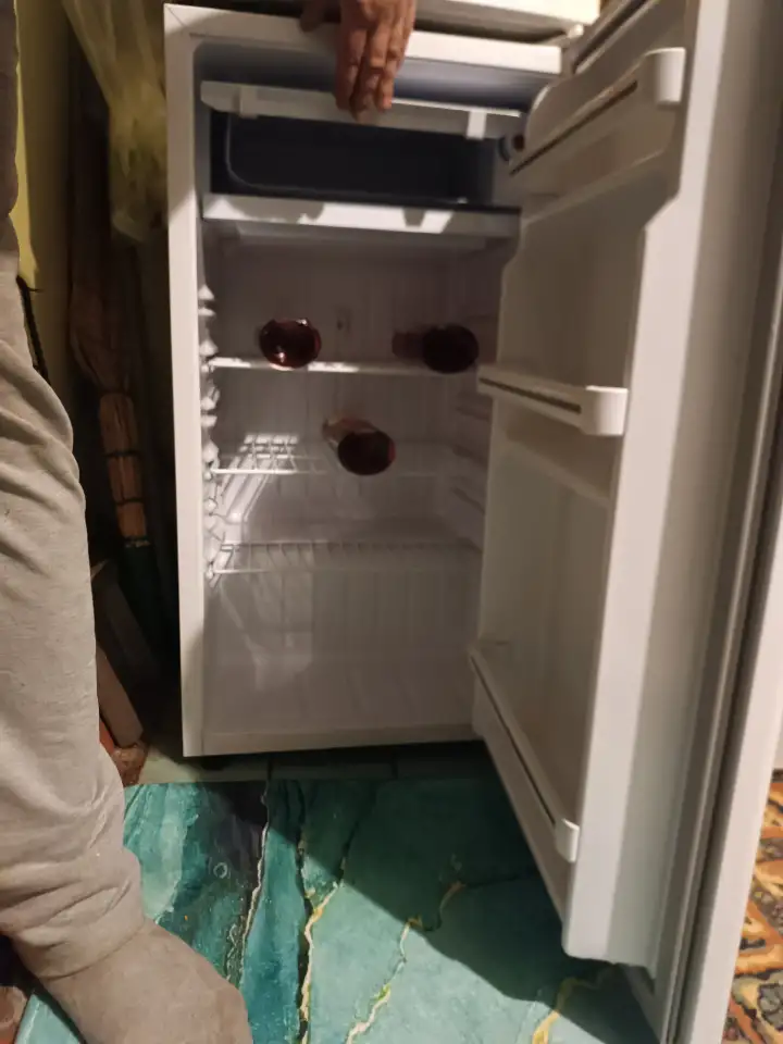 Холодильник офисный с морозилкой Renova RID-100W 100л 20кг 85см, фотография 3