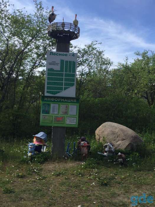 продажа садового участка, Лесное 4, фотография 2