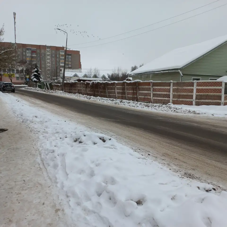 Продам дом в Полоцке, ул. Мичурина д. 9, фотография 2