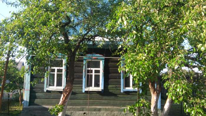 Хороший деревянный дом, пос.светочь, фотография 3