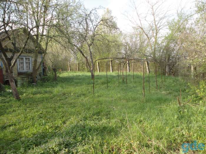 Дача не далеко от Бреста, Беларусь, область, район, СТ Здоровье-2008, фотография 3