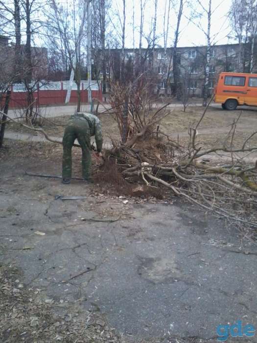 Уборка территории в Минске и по всей РБ., фотография 2