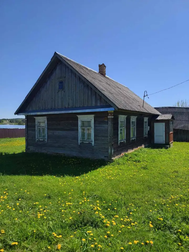 Продам дом д. Хорошевичи, фотография 1
