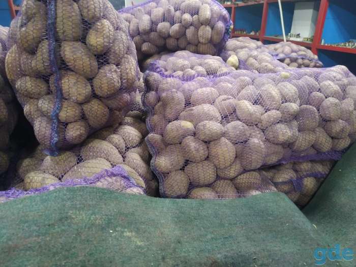 Продам картошку 0,25 руб. за 1 кг, фотография 5