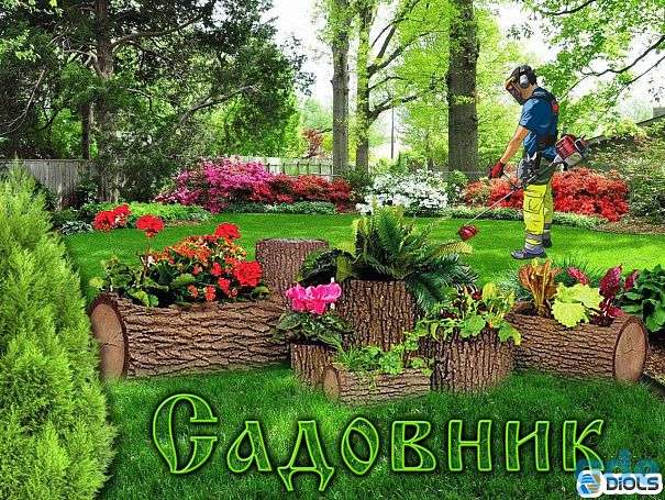 САДОВНИК-комплекс услуг.    Уборка участка., фотография 1