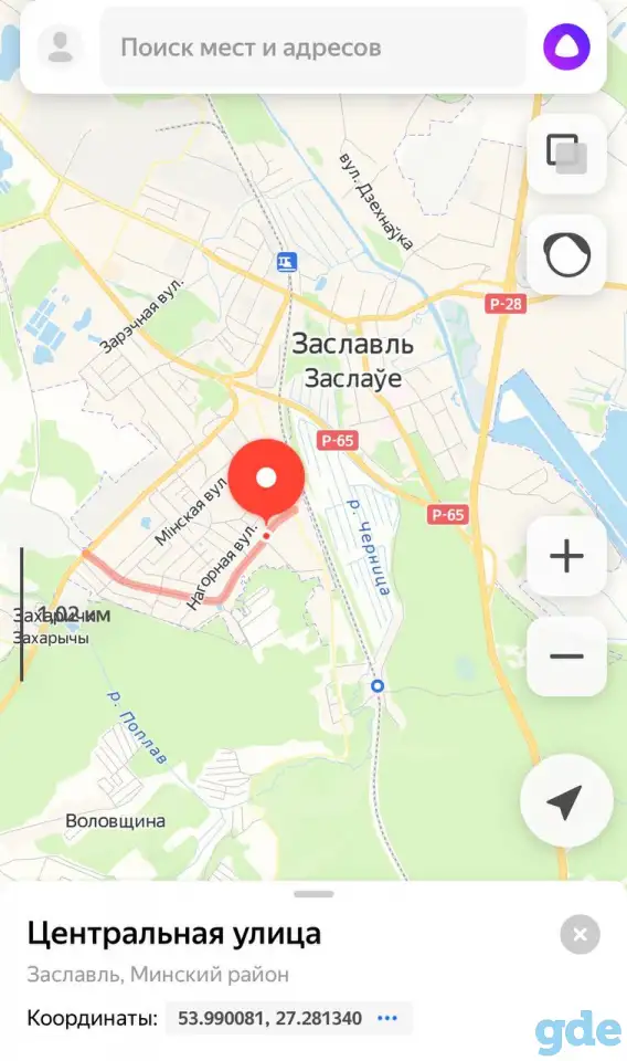 Пропала собака под Заславлем!!, фотография 4