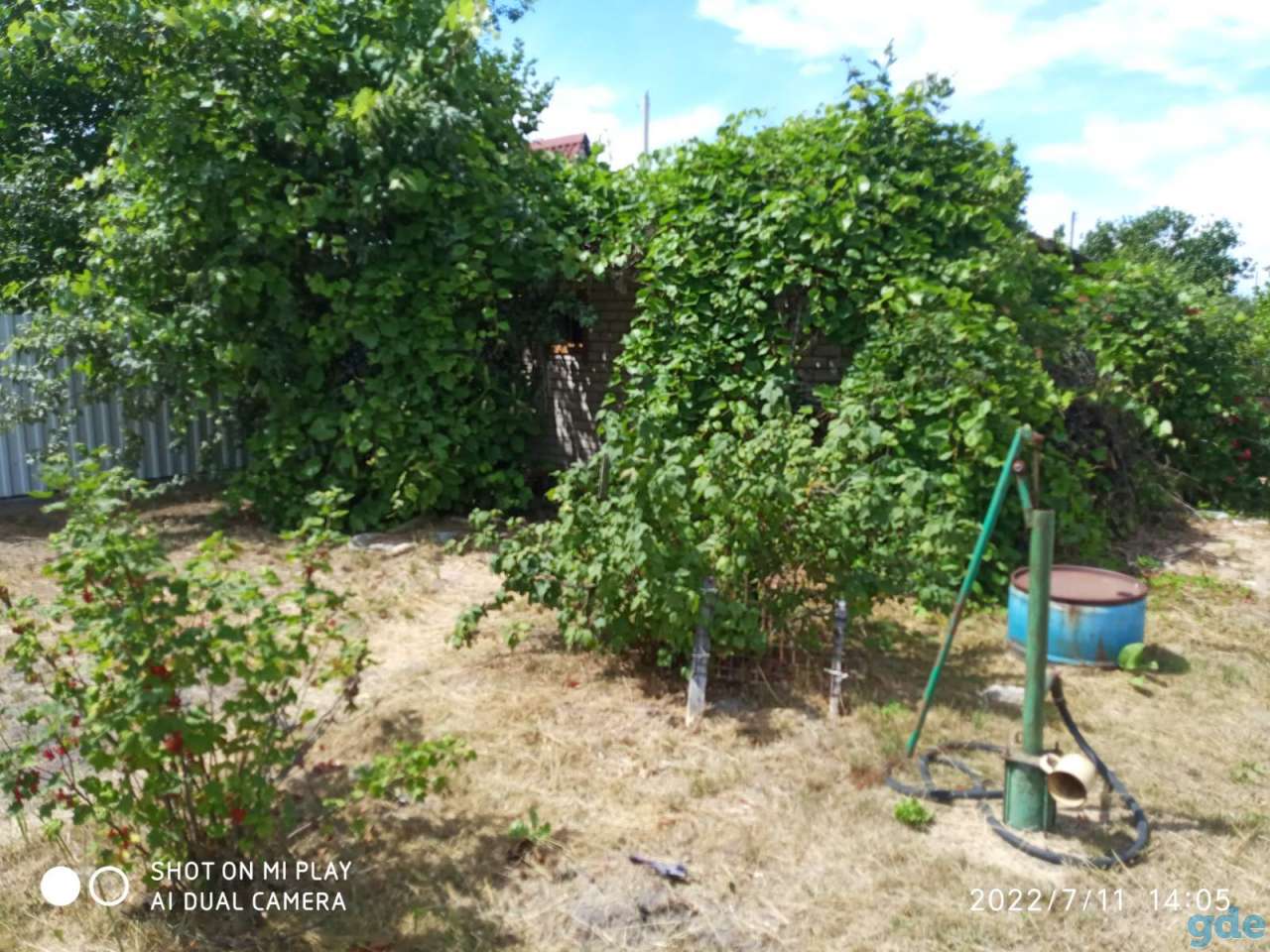 Продам участок, С/и Глядковское ул.5, фотография 4