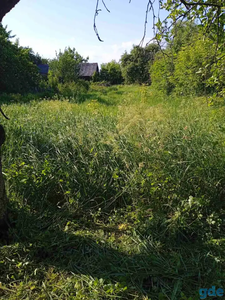 Продам дом в д.Радовня, фотография 3