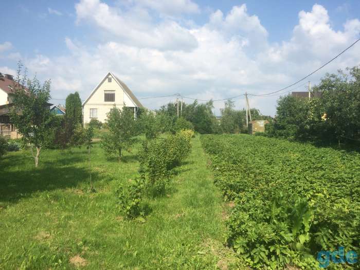 Продается участок земли с домом в д.Королев Стан, фотография 5