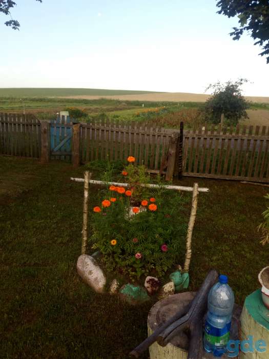 Продаю ДОМ, обл, Белыничский район, д. Олешковичи ул. Молодежная д.8, фотография 7