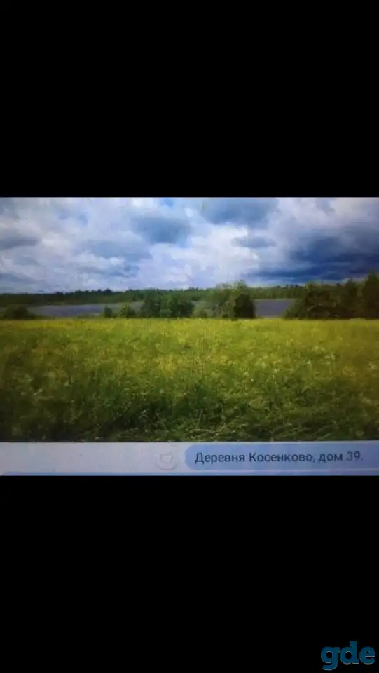 Продам дом в живописном месте, Псковская область, Невельский муниципальный округ, д. Косенково, фотография 2