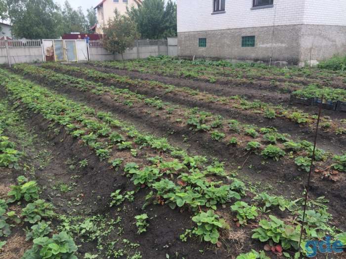 Продается дом в г. Пинске, фотография 10