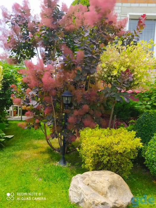 Красивому дому - красивый участок!, фотография 7