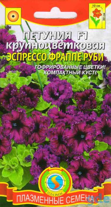 Петунья сеянцы и черенки, фотография 8