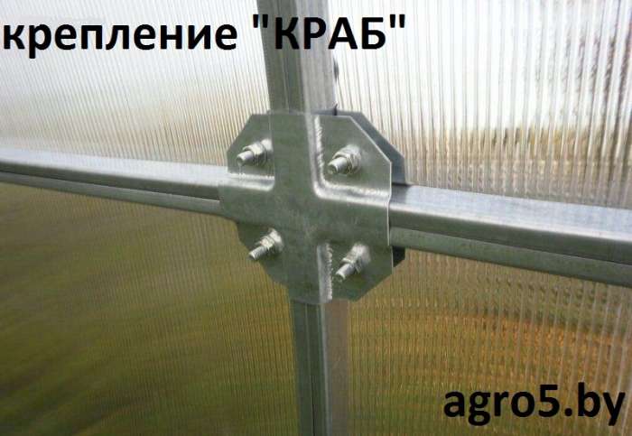 Теплицы из поликарбоната, фотография 4
