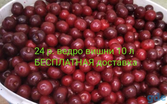 Вишня бесплатная доставка, фотография 1