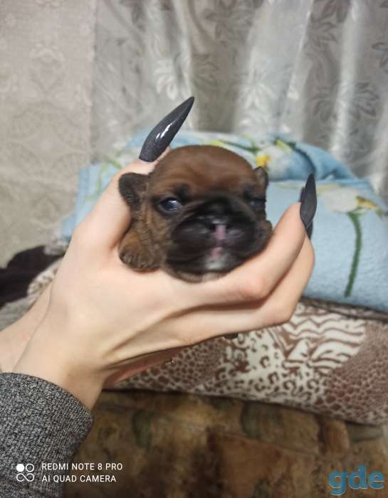 Продажа, фотография 1