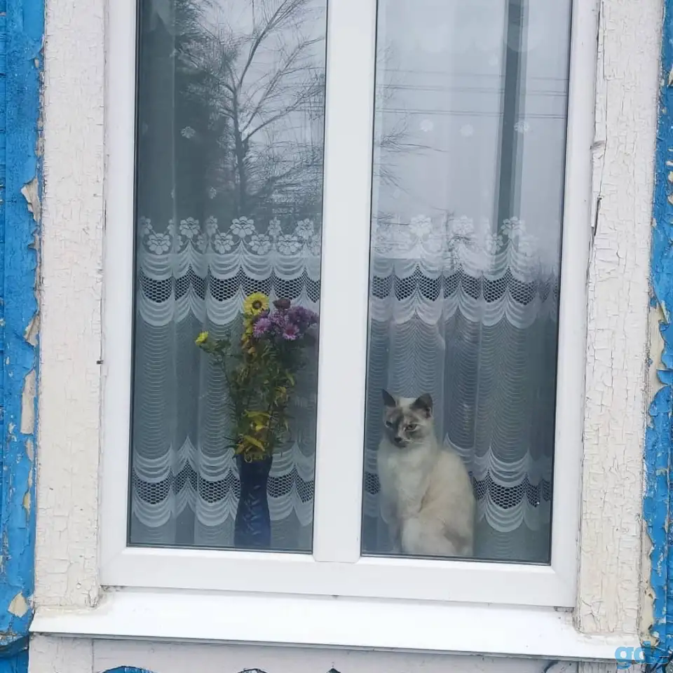 Окна ПВХ,обшивка балконов ,домов ,монтаж кровли ,заборы., фотография 11