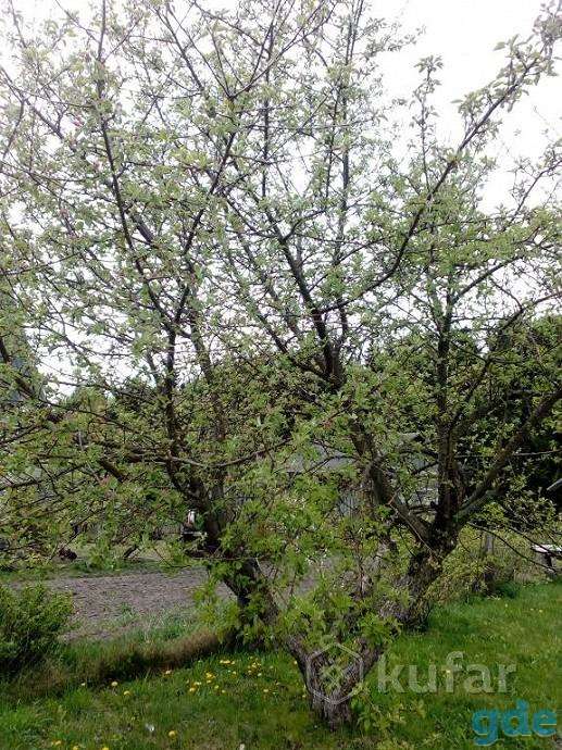 Продам коттедж, ул Горького, фотография 4