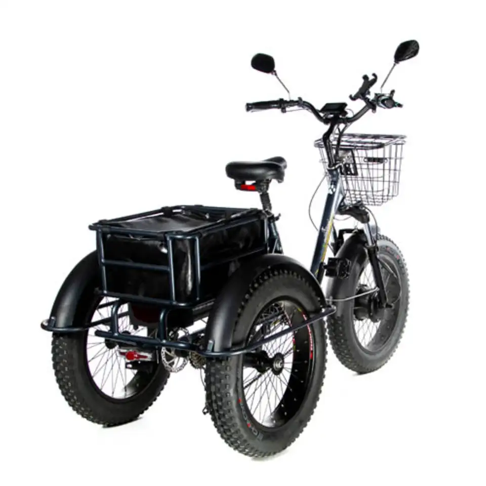 Электровелосипед трицикл e-motions panda 750w, фотография 3