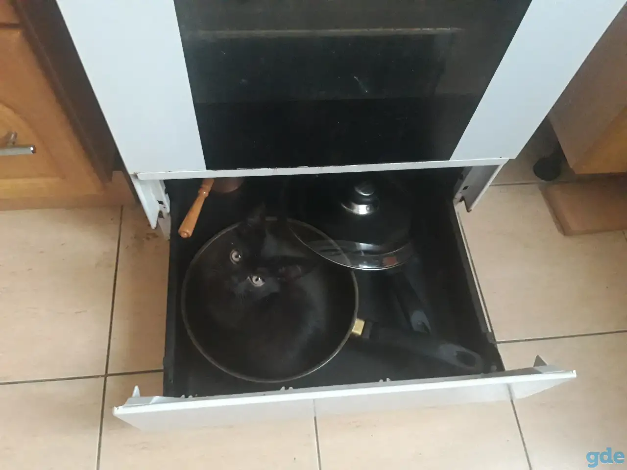Котёнок в добрые руки, фотография 5