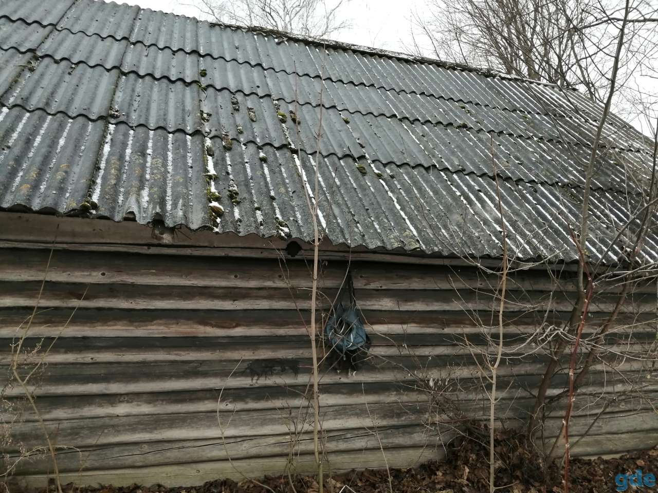 Баня и сарай, Д. Васильки могилёвской области, фотография 7