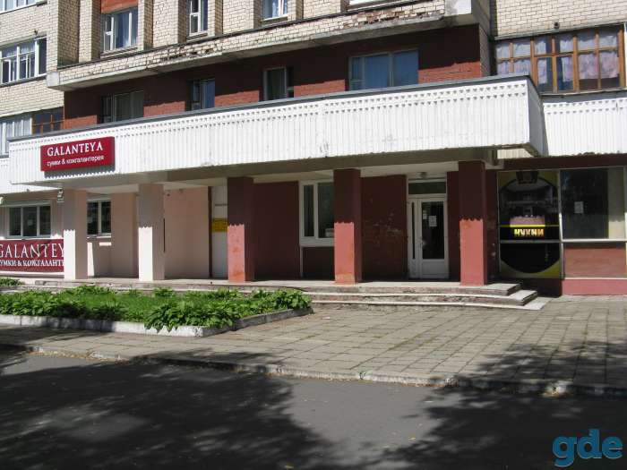 Срочно сдается помещение в аренду г.Светлогорск, фотография 1