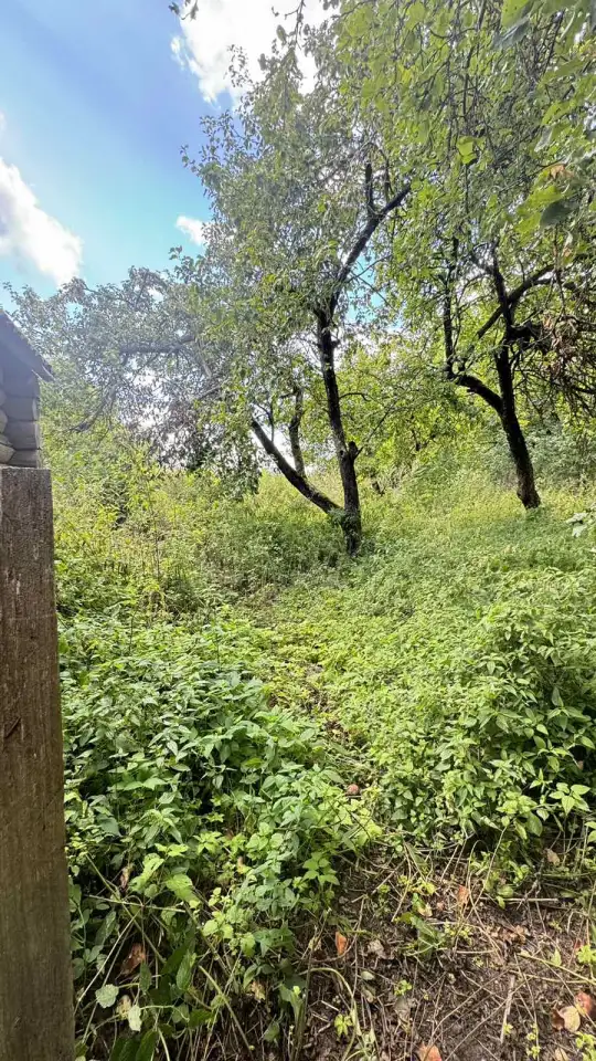 продам дом рядом с Борисовом, д.Новое Янчино, фотография 6