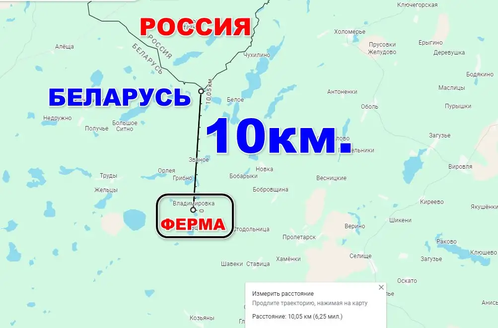 Продается фермерское хозяйство., фотография 8