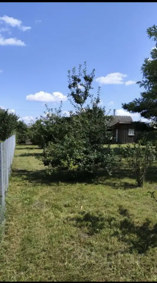 Дачный участок 12 соток, 40 лет Октября ул, Минская область, фотография 9