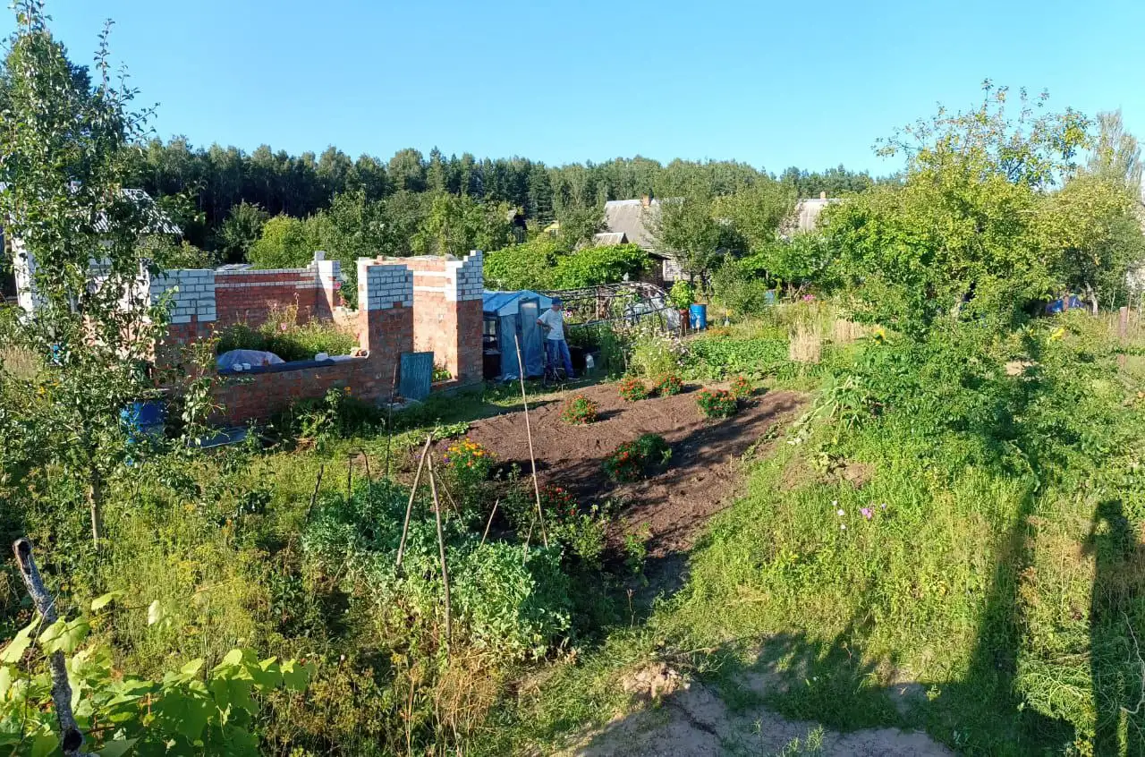 Продам дачу. Бобруйский район. Деревня Токари. СНТ Малиновка, фотография 2