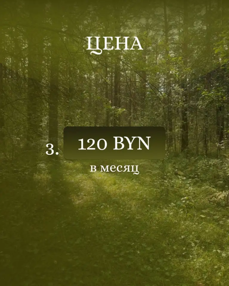 Русский язык ЦТ/ЦЭ Онлайн, фотография 7