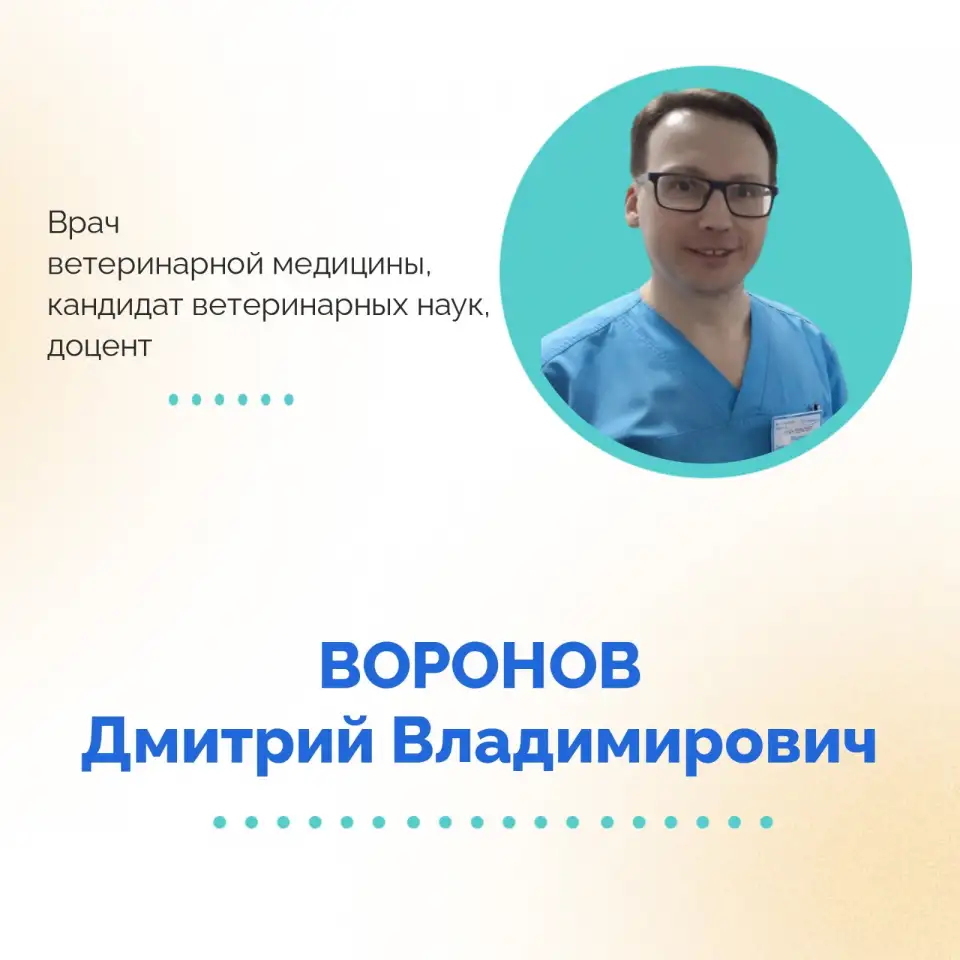 АНАТОМИЯ И ФИЗИОЛОГИЯ СОБАК ГЛАЗАМИ РЕАБИЛИТОЛОГА., фотография 2