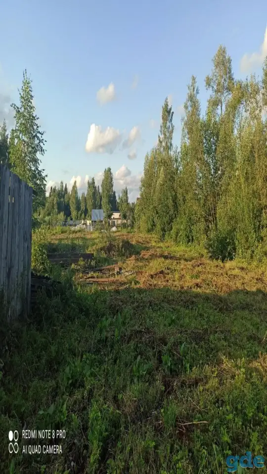Дачный участок, Петушки Новики, фотография 5