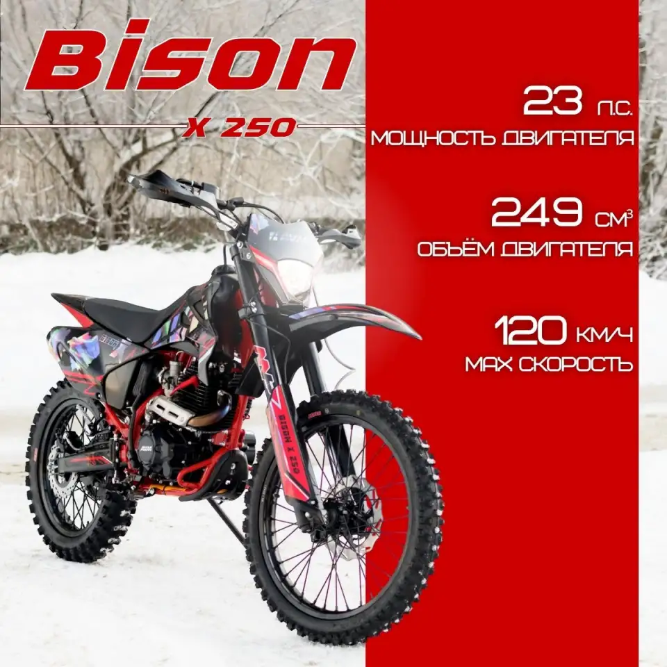 Эндуро мотоцикл AVM BisonX 250, фотография 1