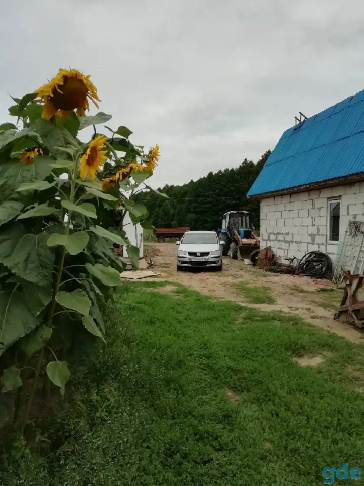 Сельское хозяйства с домом и хоз. постройками и овощехранилищем, фотография 5