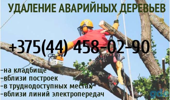 Удаление аварийных деревьев, фотография 1