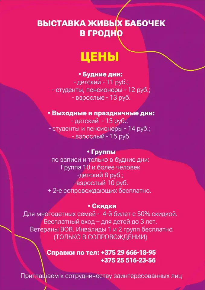 Выставка живых бабочек, фотография 2